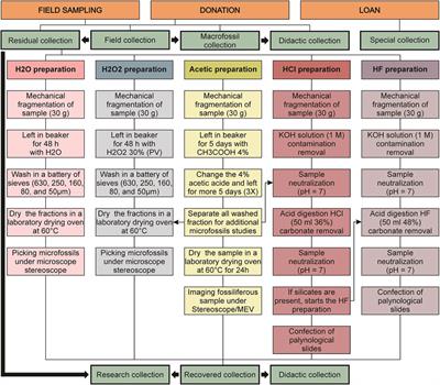 Methodological Development of a Combined Preparation for Micropaleontological and Sedimentological Studies of Samples From the Proterozoic Record